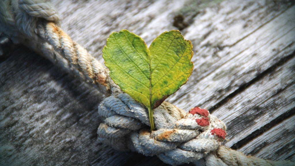 toxische Beziehung