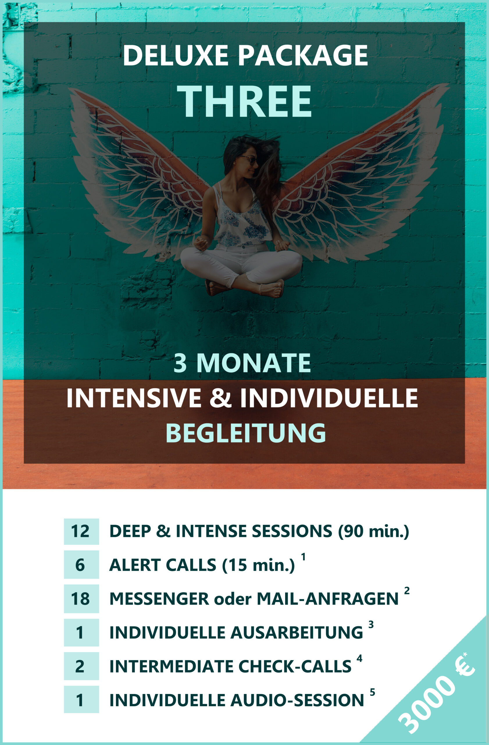 Deluxe Coaching 3 Monate