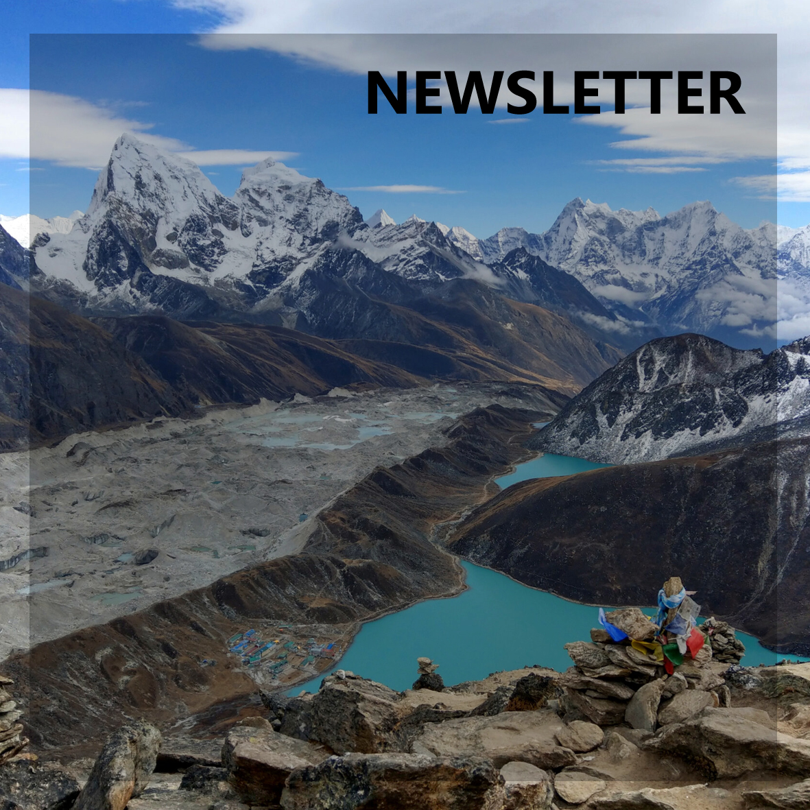 bewusstsein newsletter