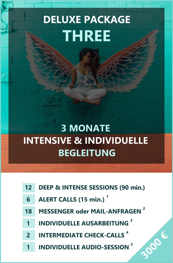 deluxe coaching drei monate preis