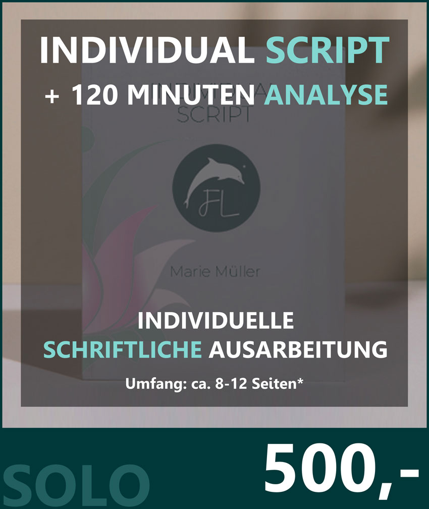 script zusatz tool solo